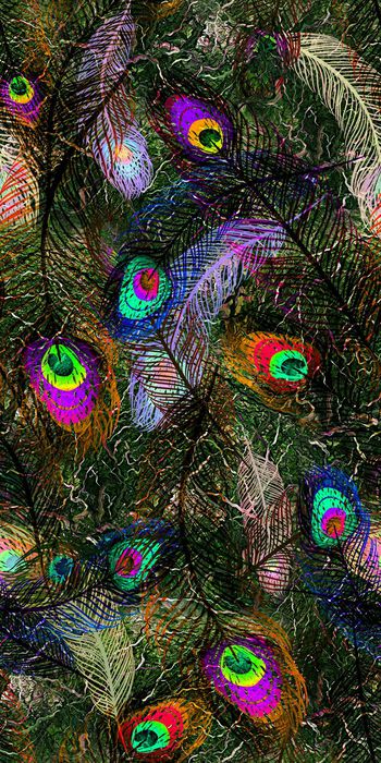 430894-孔雀羽 茂林 肌理 数码 服装