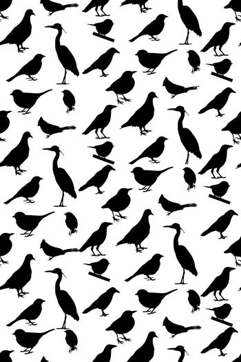 430920-剪影鸟抽象底纹 简约衬衫图案