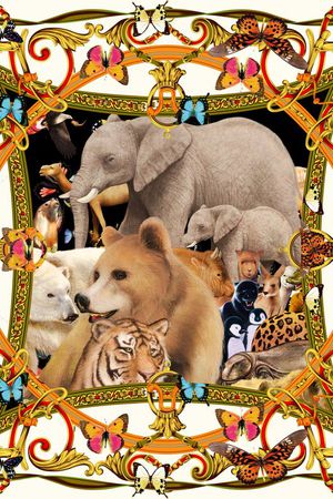 动物印花华亿平台图片