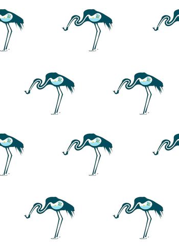 431068-天鹅的心里自有一个湖泊