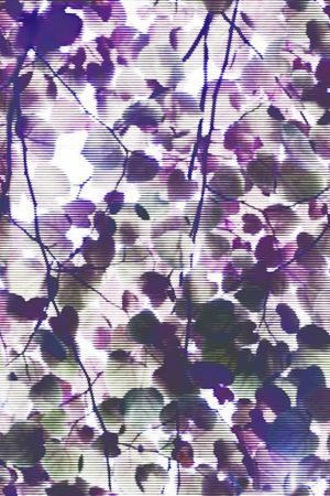 树叶印花华亿平台图片