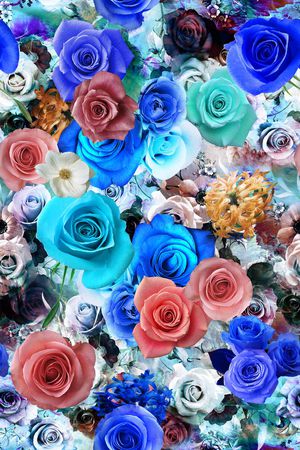 数码大气玫瑰花卉女装印花华亿平台图片