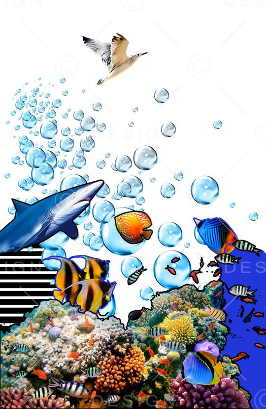 海底世界印花华亿平台图片