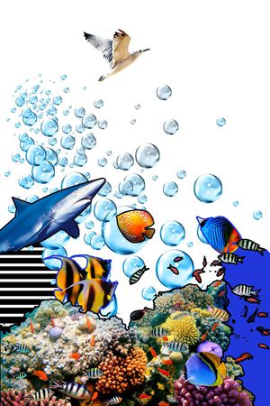 海底世界印花华亿平台图片