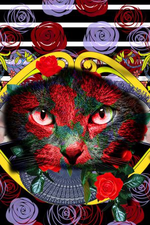 定位印花华亿平台图片