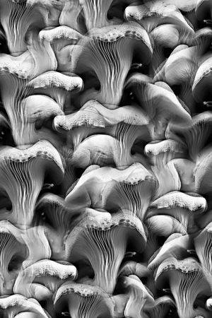 黑白印花华亿平台图片