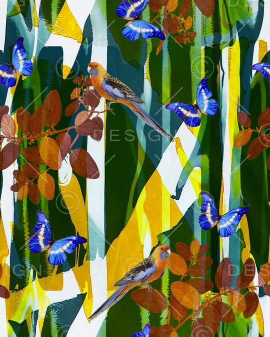 鸟、蝴蝶印花华亿平台图片