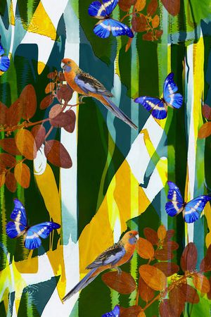 鸟、蝴蝶印花华亿平台图片