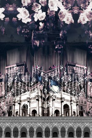 动物印花华亿平台图片