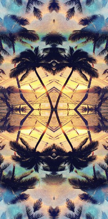 431499-怀旧复古海边风光椰树休闲海滩棕榈树