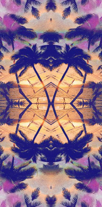 431500-怀旧复古海边风光椰树休闲海滩棕榈树