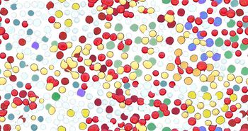 时尚印花华亿平台图片