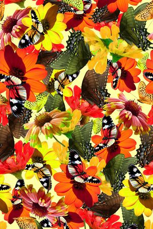 蝴蝶印花华亿平台图片