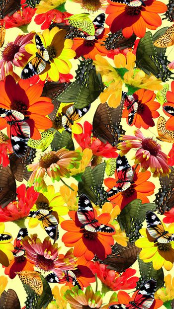 431617-2015043001-a清新蝴蝶花