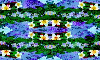 431694-1504 WL084 蝴蝶多彩缤纷