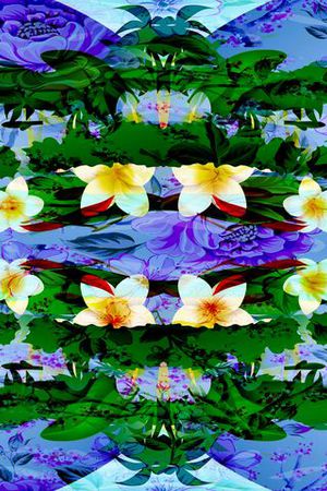 蝴蝶印花华亿平台图片