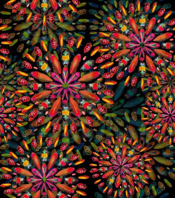 431779-创意个性男女装昆虫组合渐变层次华亿平台