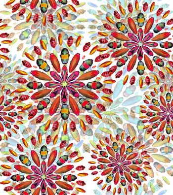 431780-创意个性男女装昆虫组合渐变层次华亿平台