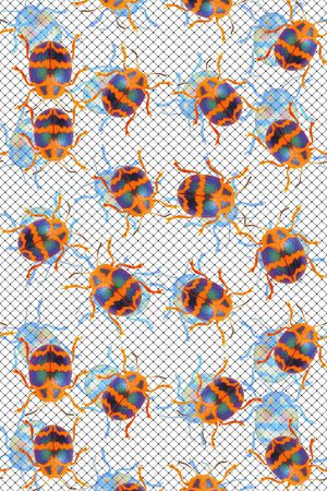 甲虫印花华亿平台图片