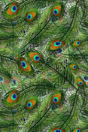 服装印花华亿平台图片