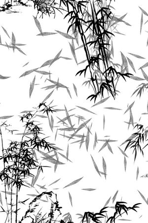 时尚黑白配印花华亿平台图片