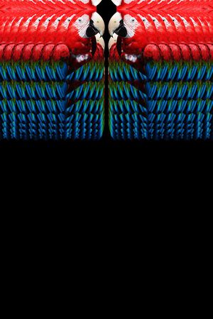 潮流印花华亿平台图片