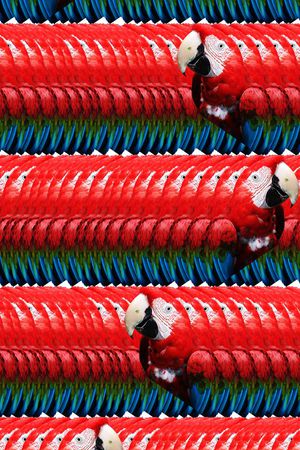 潮流印花华亿平台图片