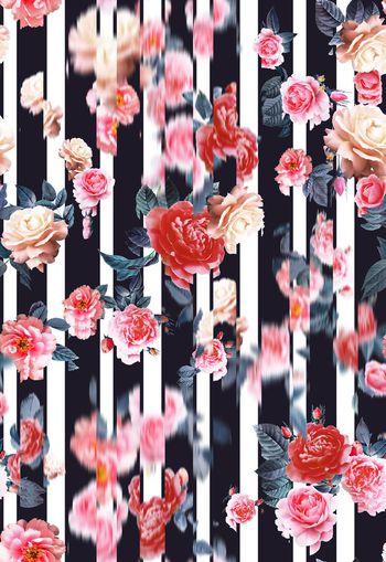 432270-月季 模糊写实