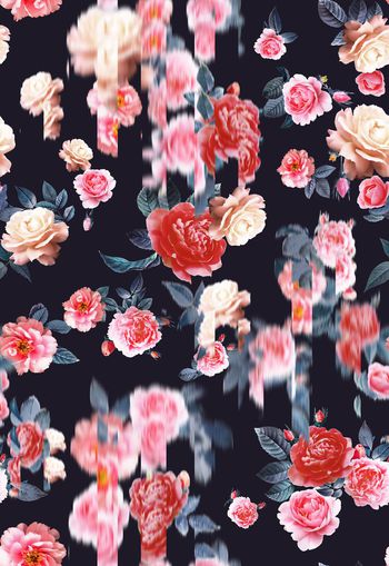 432271-月季 模糊写实