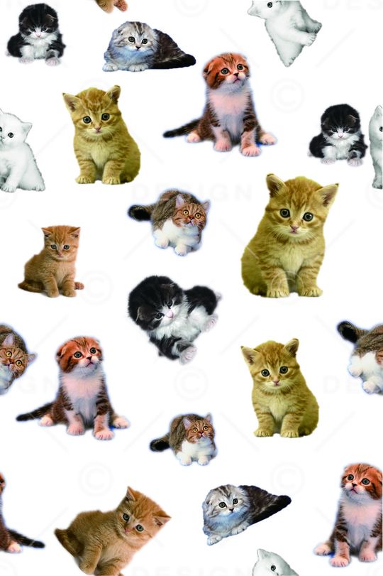 可爱风印花华亿平台图片