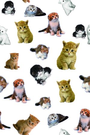 可爱风印花华亿平台图片