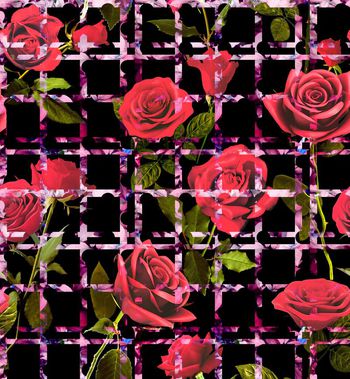 432310-波点条格 玫瑰花