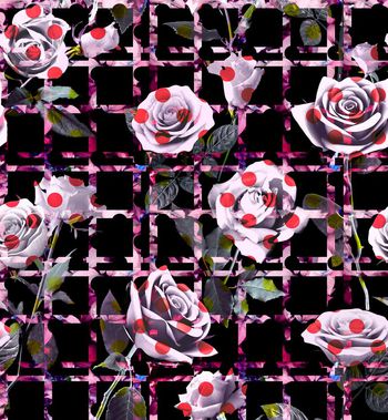432312-波点条格 玫瑰花