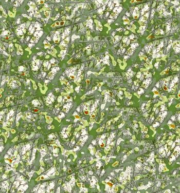 432418-春夏秋意抽象迷彩