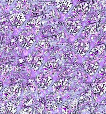 432419-春夏秋意抽象迷彩