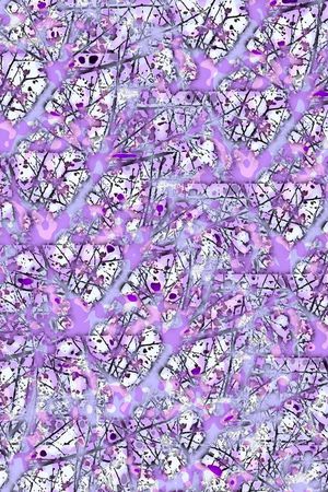 裤子印花华亿平台图片