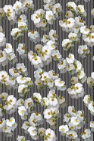 几何线条印花华亿平台图片