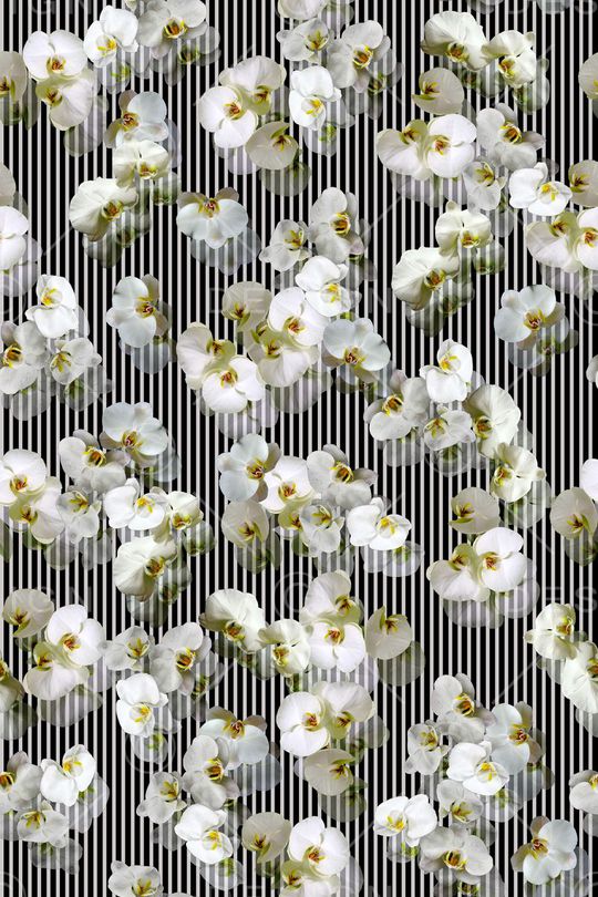 几何线条印花华亿平台图片