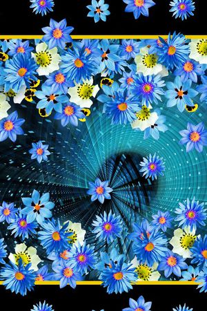 菊花印花华亿平台图片