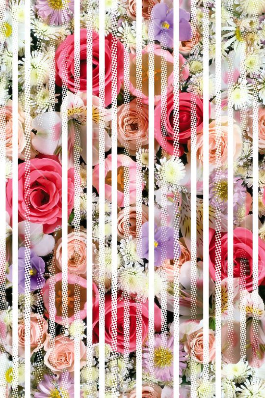 乱花丛印花华亿平台图片