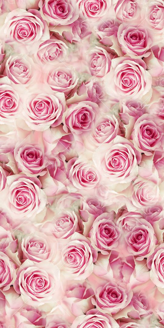 朦胧清爽印花华亿平台图片