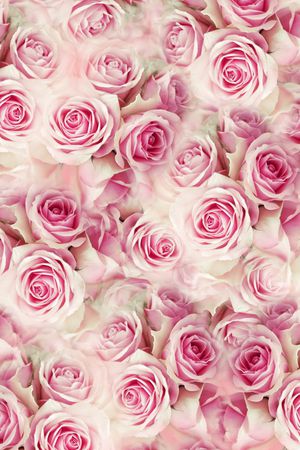 朦胧清爽印花华亿平台图片