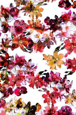 花朵印花华亿平台图片