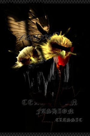 鸟印花华亿平台图片