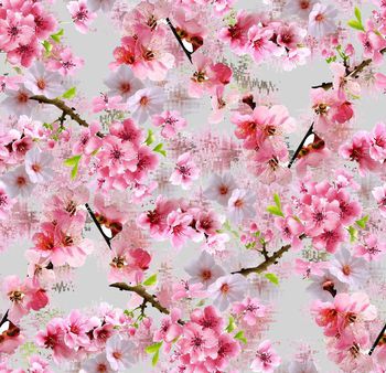 433117-中国风桃花盛花卉开层次变幻图