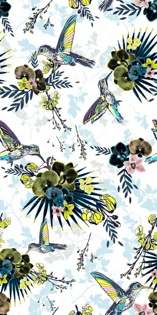蜂鸟 花卉印花华亿平台图片