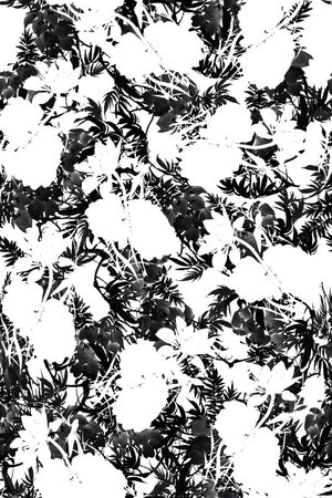 复古印花华亿平台图片