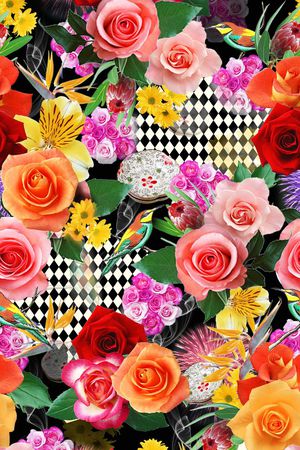 绚丽印花华亿平台图片