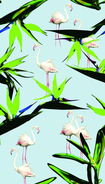 花印花华亿平台图片