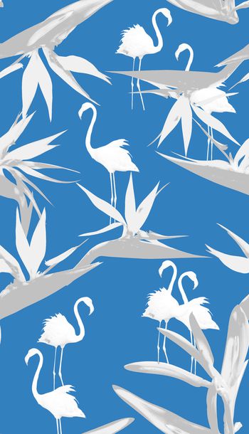 433332-数码,花,鸟